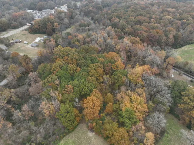 a view of a forest with houses