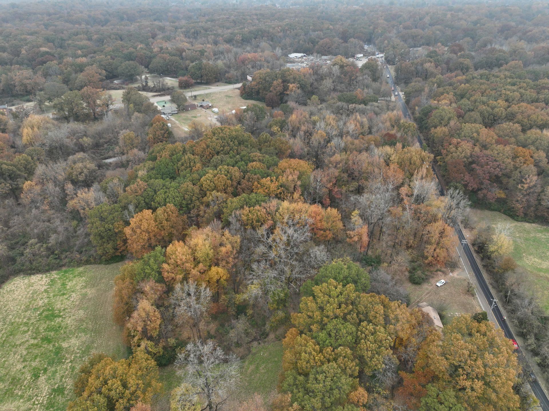 South Weaver Road Memphis, TN 38109 - Photo 17 of 25 a view of a yard
