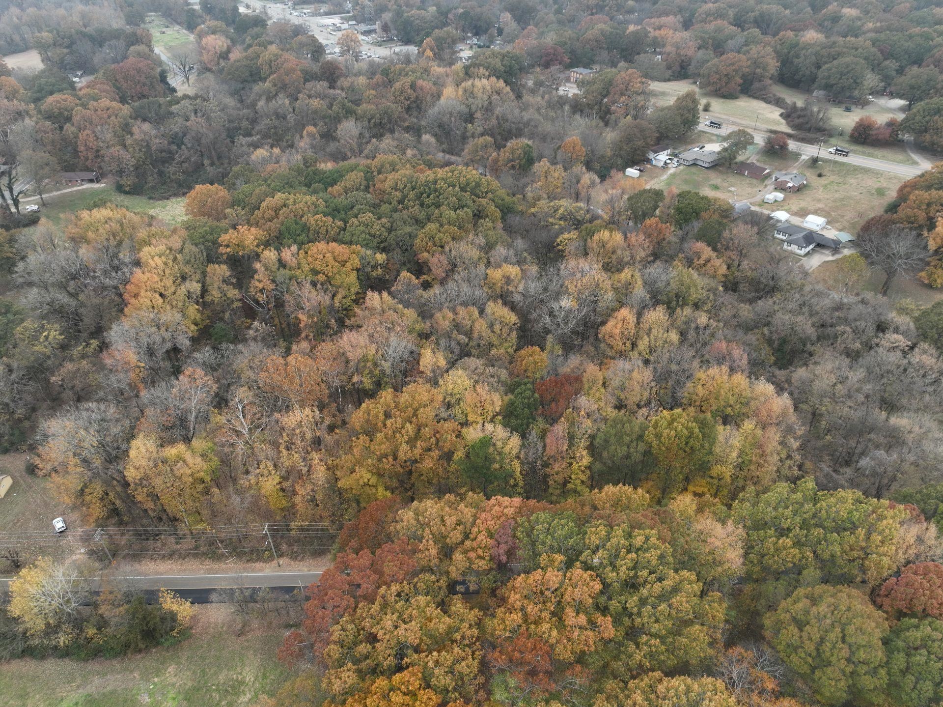 South Weaver Road Memphis, TN 38109 - Photo 19 of 25 a view of a yard