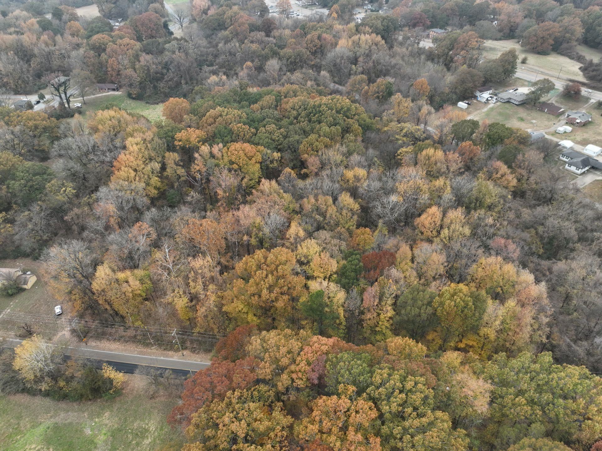 South Weaver Road Memphis, TN 38109 - Photo 2 of 25 a view of a yard