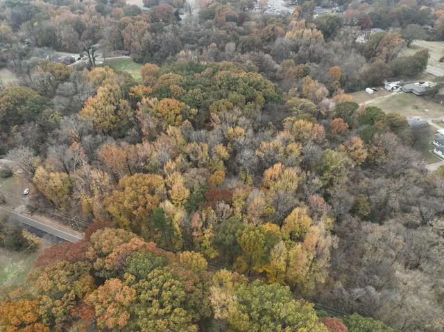a view of a dry yard
