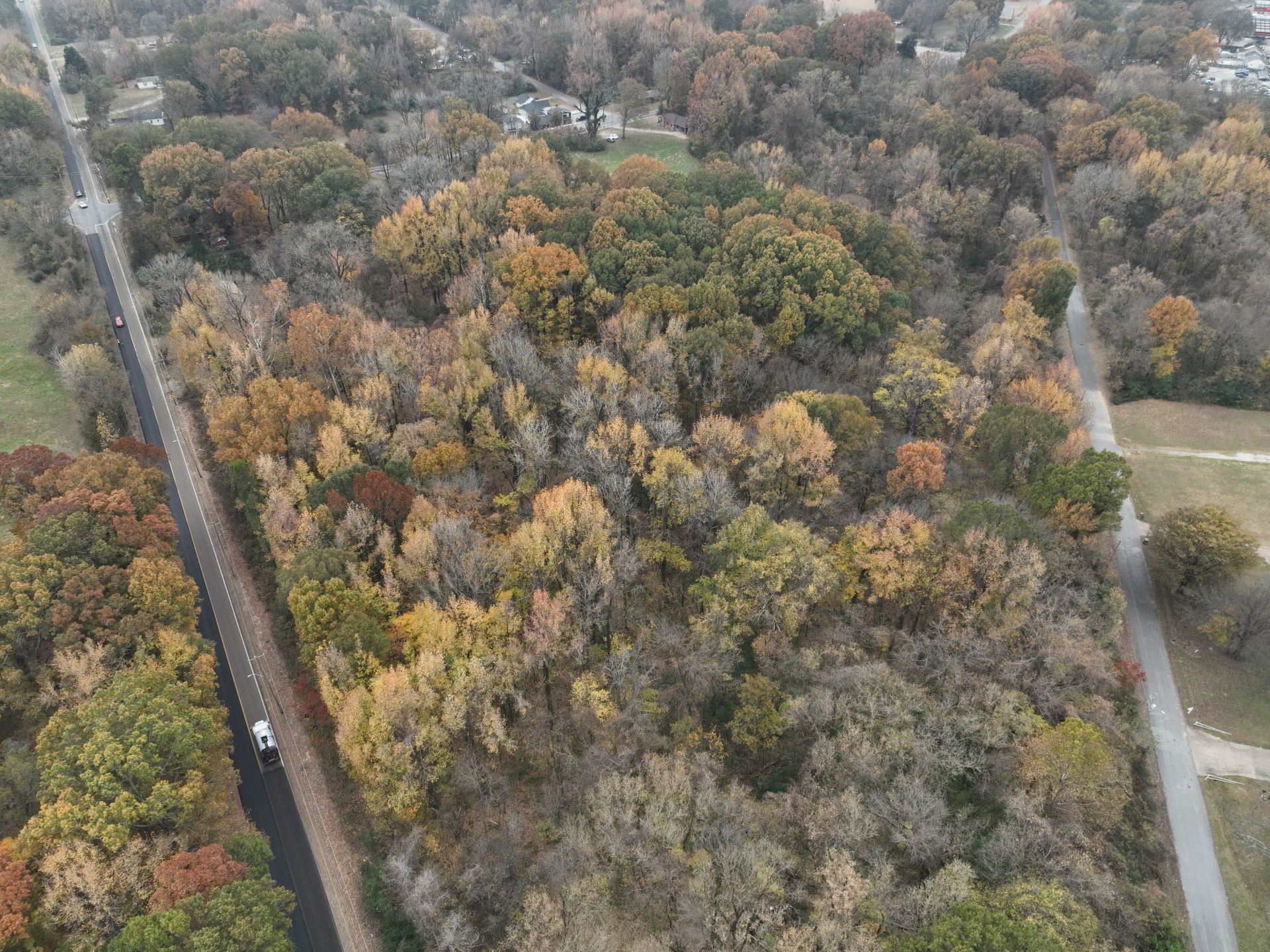 South Weaver Road Memphis, TN 38109 - Photo 5 of 25 a close up of a tree