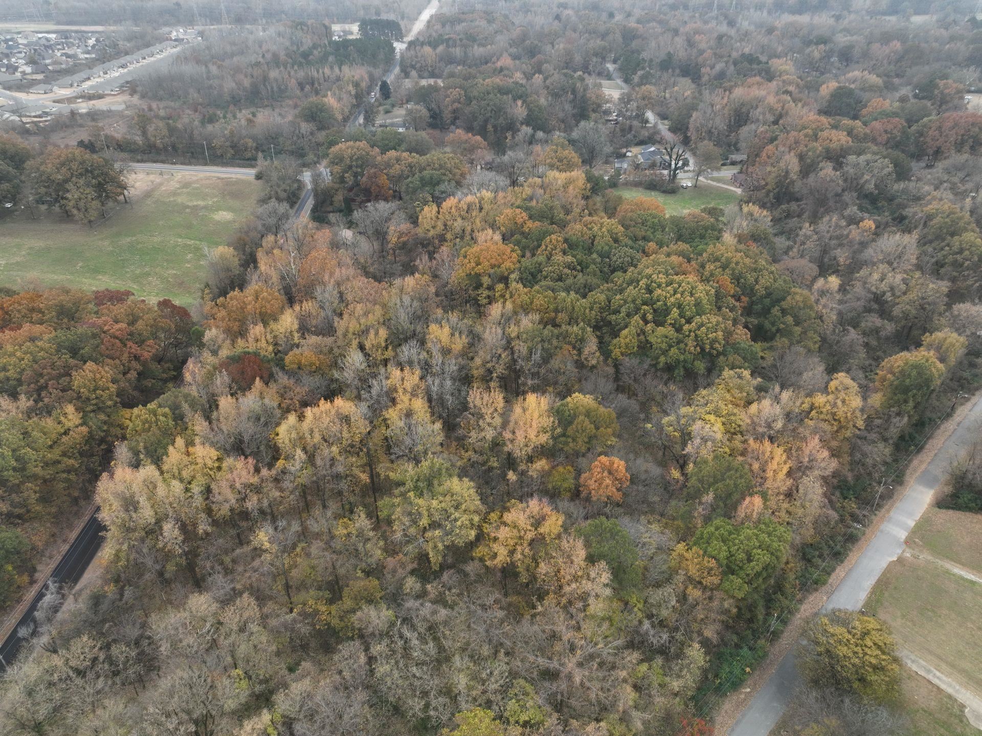 South Weaver Road Memphis, TN 38109 - Photo 7 of 25 a view of a lot of trees in a yard