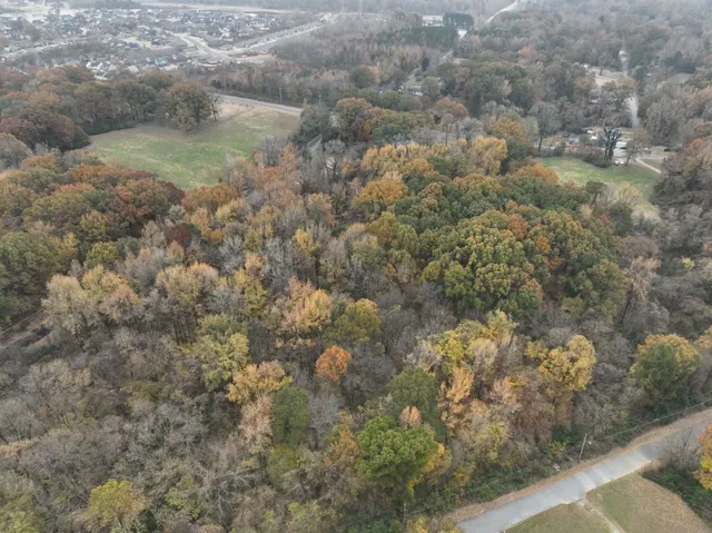 a view of a small yard