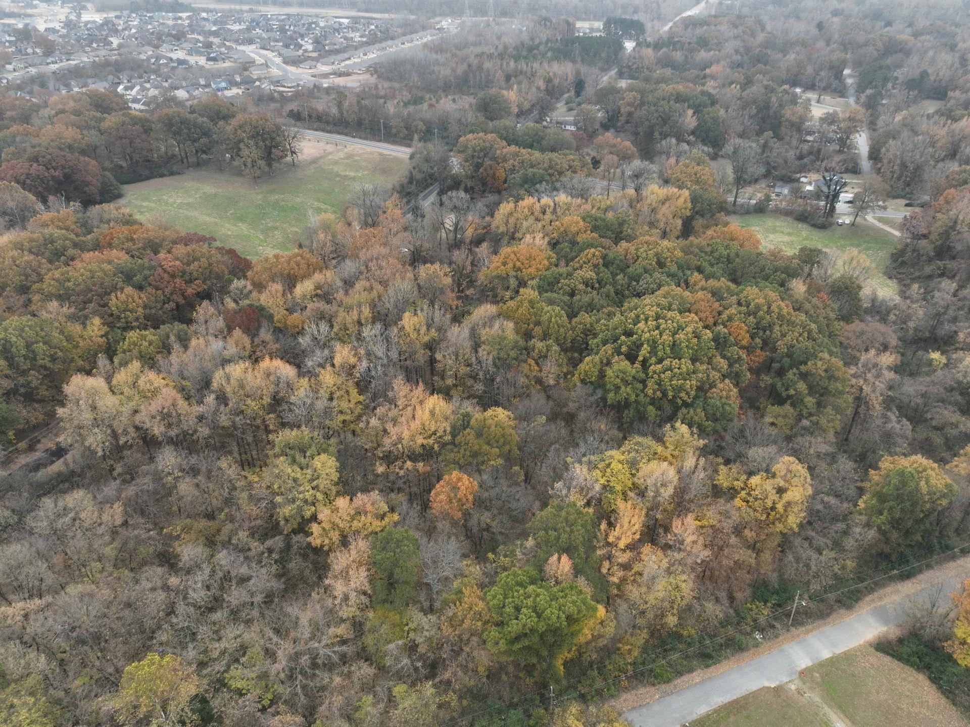 South Weaver Road Memphis, TN 38109 - Photo 8 of 25 a view of a small yard