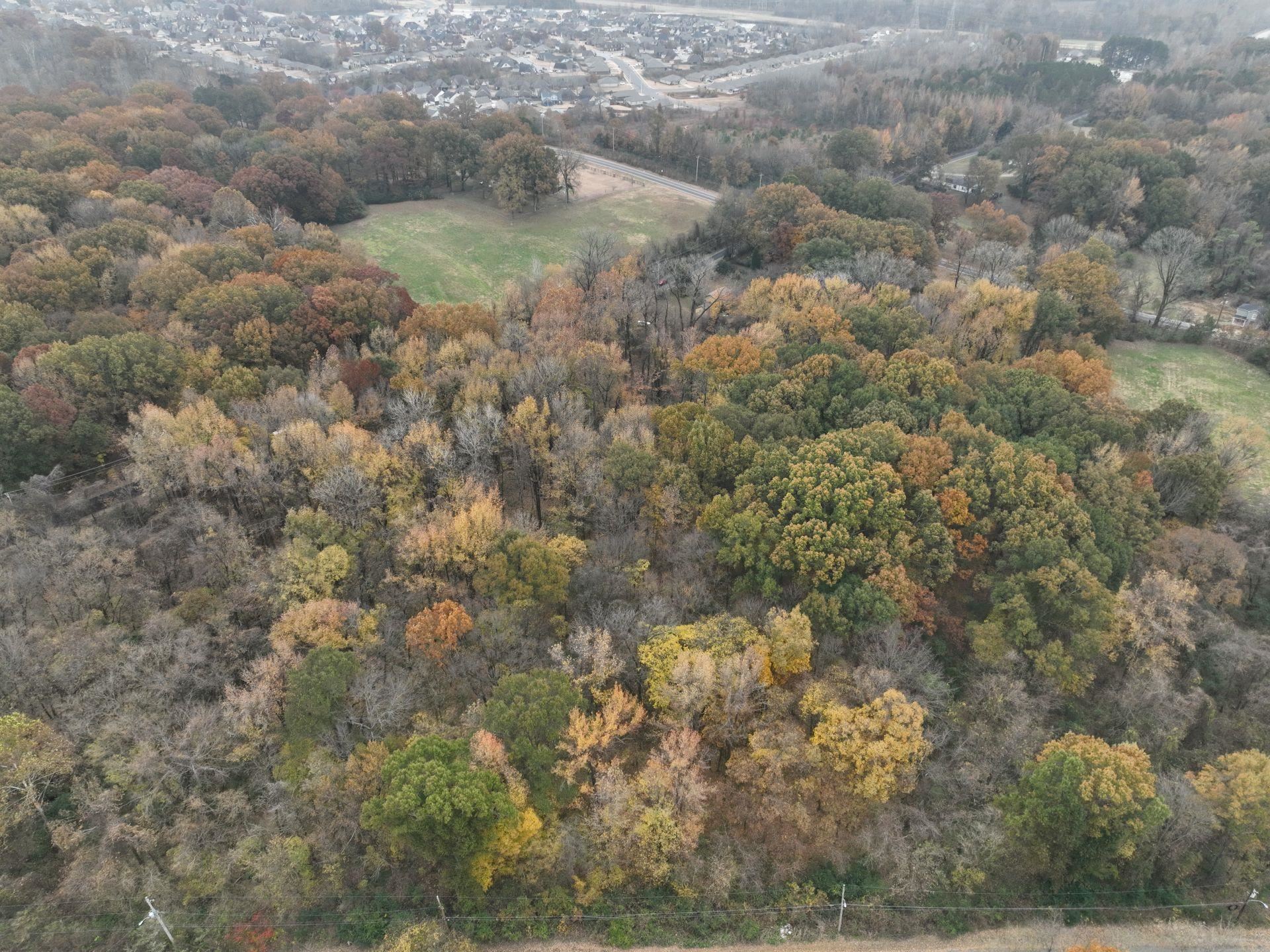 South Weaver Road Memphis, TN 38109 - Photo 9 of 25 a view of a yard