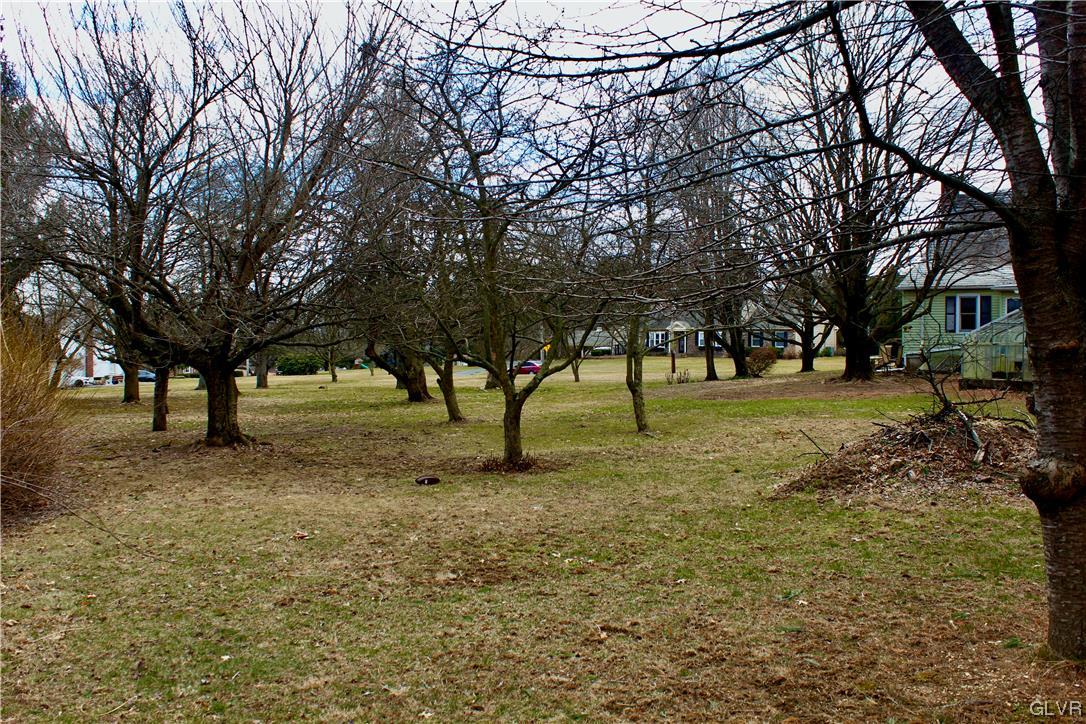 560 Cherry Hill Road Nazareth, PA 18064 - Photo 35 of 48 a view of outdoor space with trees