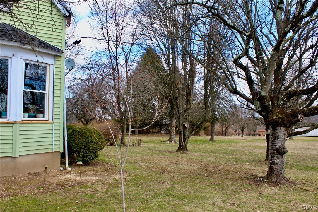 560 Cherry Hill Road Nazareth, PA 18064 - Photo 39 of 48 a view of yard with tree