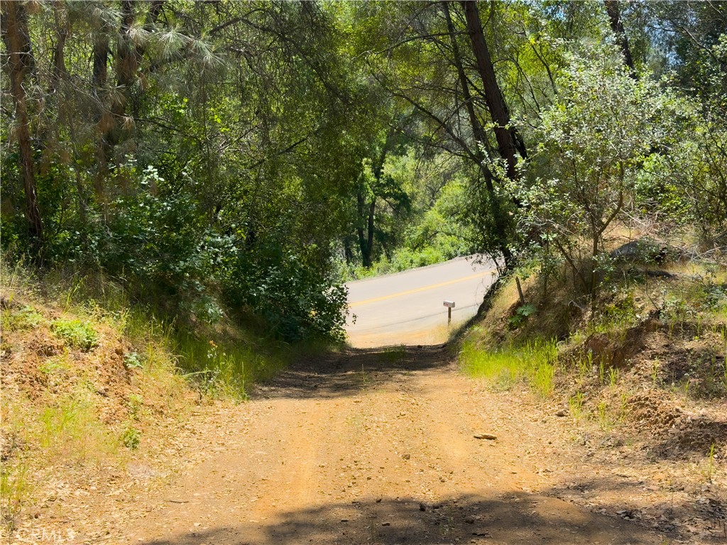 10 Miller Road Mariposa, CA 95338 - Photo 22 of 34 a view of a small space near a lake view