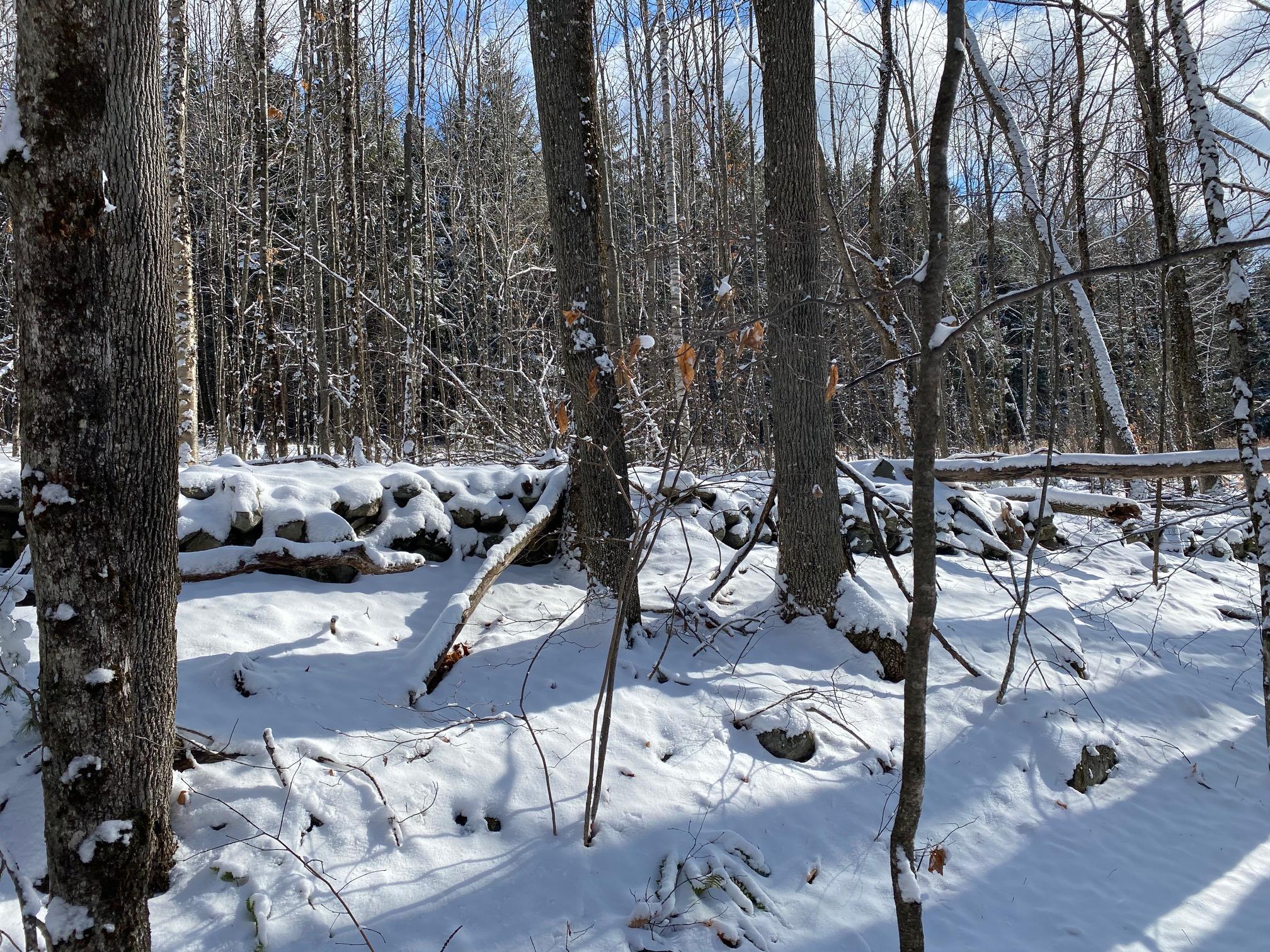 0 Pillsbury Road Garland, ME 04939 - Photo 12 of 13 12