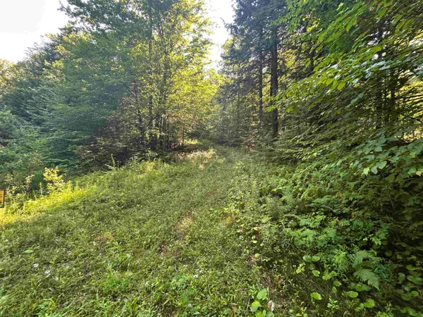 $160,000 | 0 Rose Lane, Unit LOT #, Jamaica, VT 05343