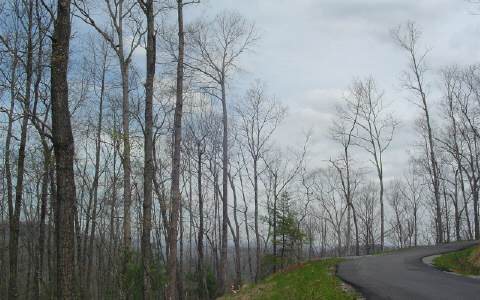 25 Raccoon Ridge Blue Ridge, GA 30513 - Photo 1 of 1 Main View
