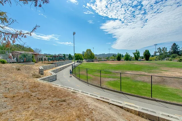a view of a park with large trees
