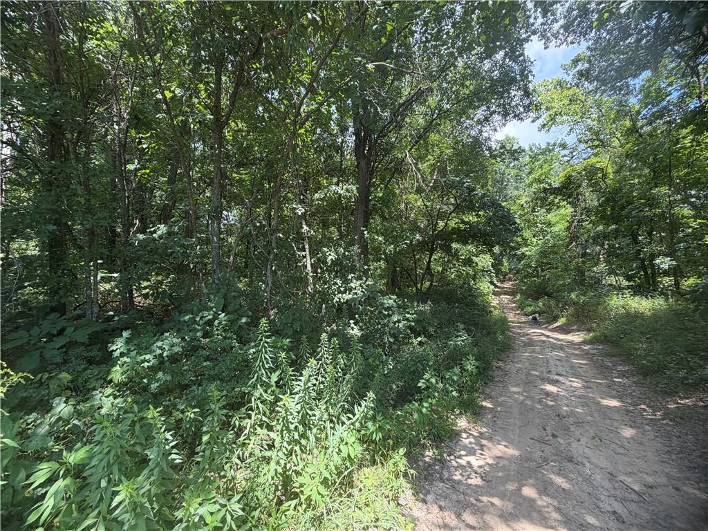 Tbd Campbell Road Knob Noster, MO 65336 - Photo 79 of 88 Gallery Image 79