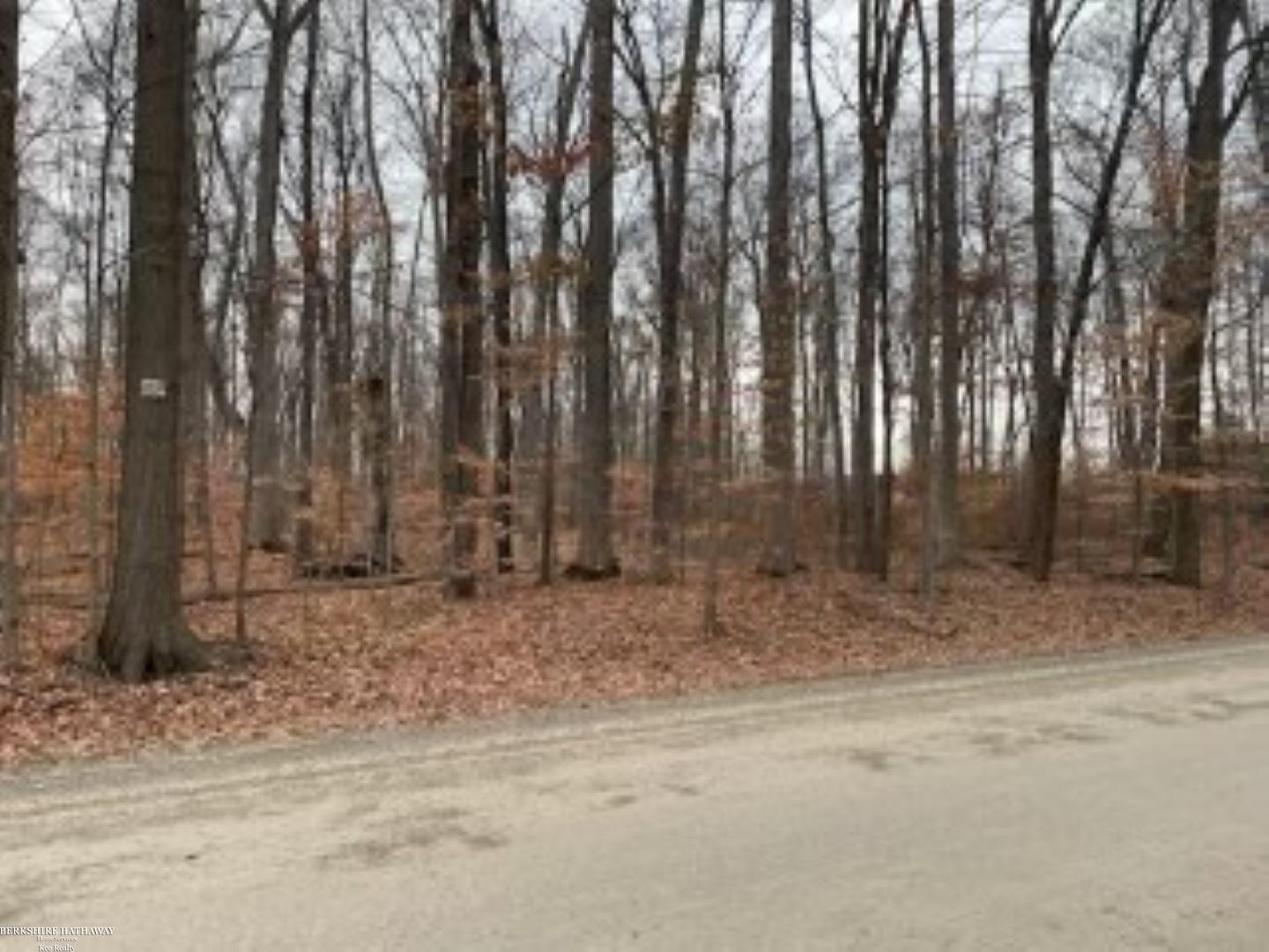 0 Kunstman Road Ray, MI 48096 - Photo 6 of 6