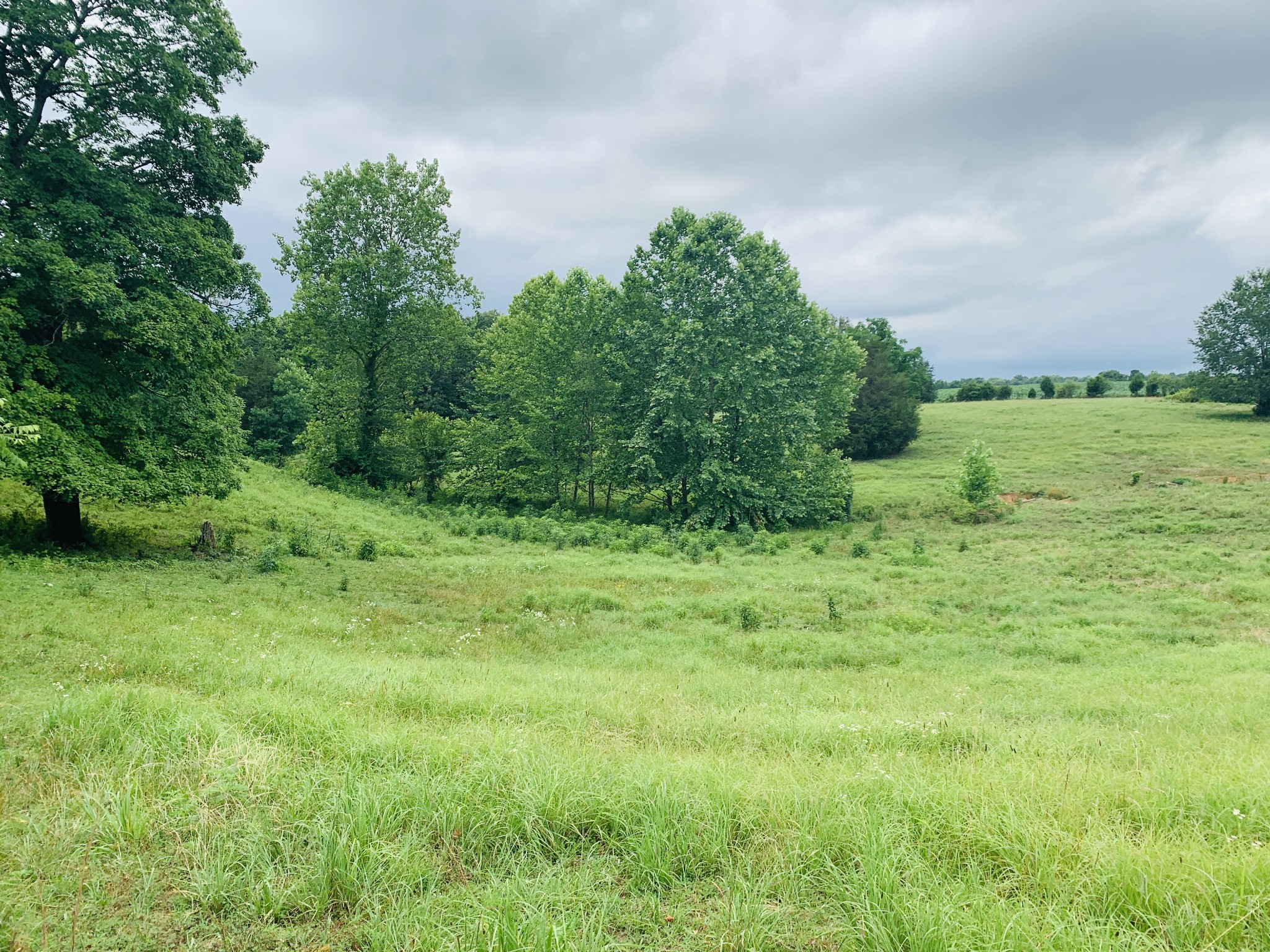 1315 Hamble Road Charlotte, TN 37036 - Photo 8 of 50 Gallery Image 8