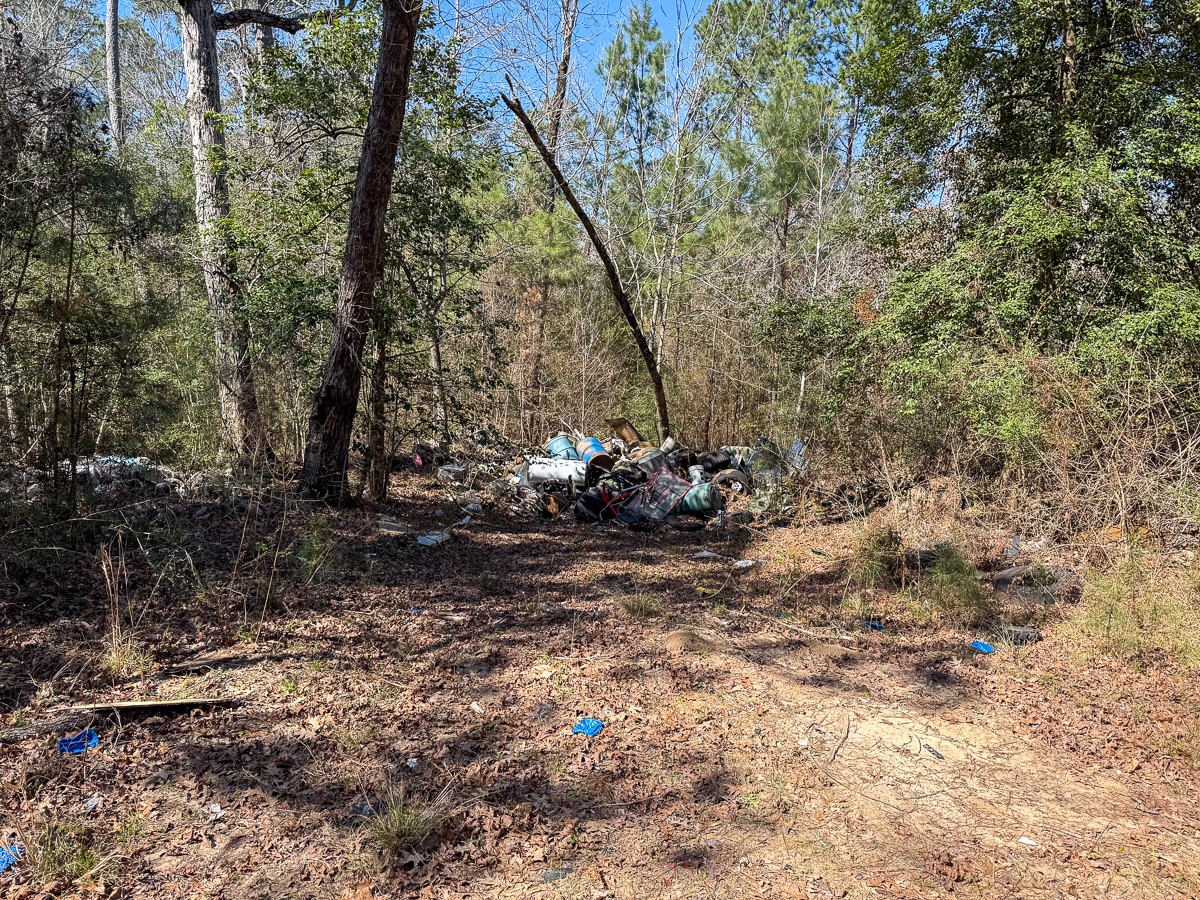 1 Lyons Cemetery Road Moscow, TX 75960 - Photo 8 of 11 a view of yard