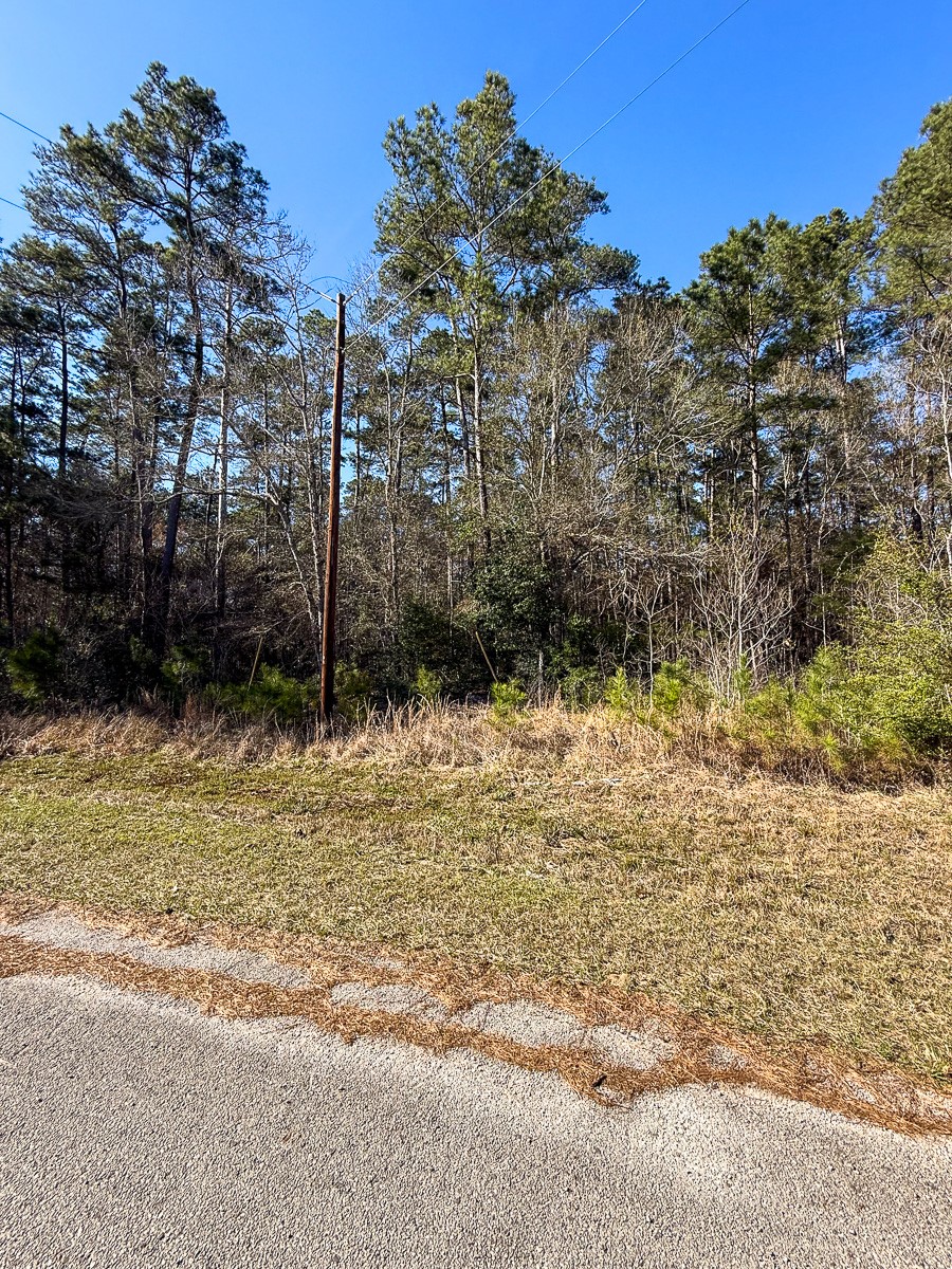 1 Lyons Cemetery Road Moscow, TX 75960 - Photo 9 of 11 a view of a backyard of the house