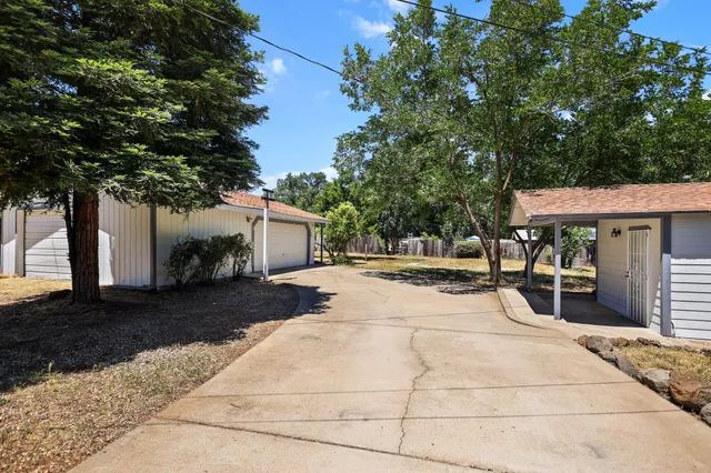 a view of a yard with plants and trees