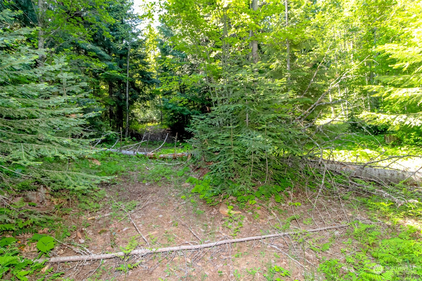 6166 Nelson Siding Road Cle Elum, WA 98922 - Photo 21 of 35 Gallery Image 21