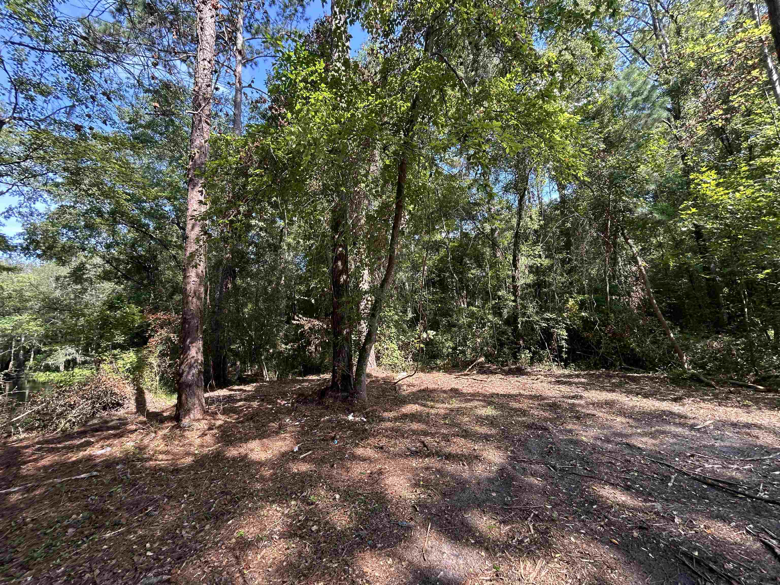 Tbd Mt Calvary Road Dillon, SC 29536 - Photo 20 of 26 Gallery Image 20