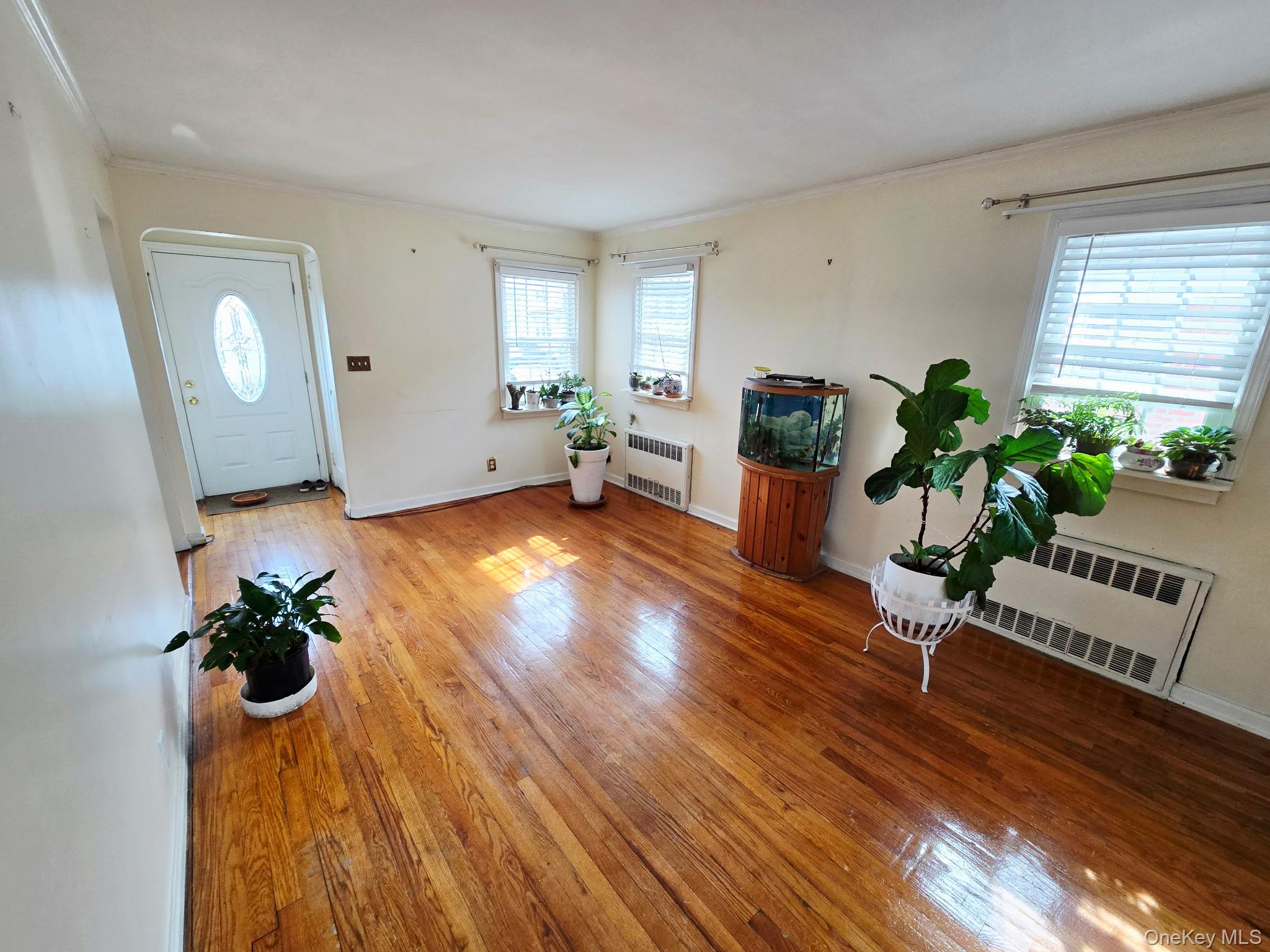 60 Liberty Boulevard Valley Stream, NY 11580 - Photo 3 of 10 a living room with furniture and a potted plant