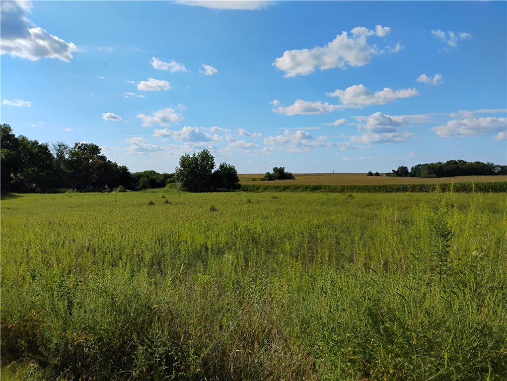 1462 North 3300 East Road Windsor, IL 61957 - Photo 13 of 38