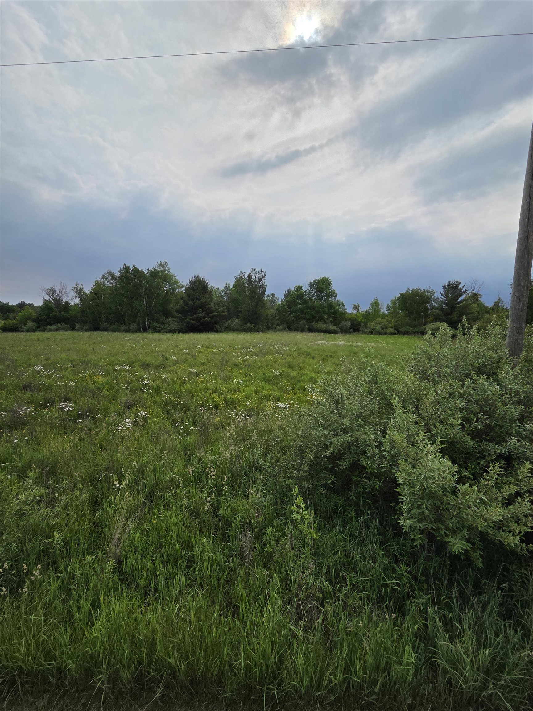 2835 Grass Lake Road Gladwin, MI 48624 - Photo 9 of 50 Gallery Image 9