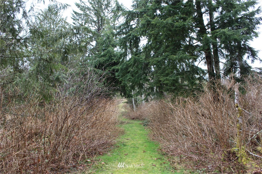 0 Eden Valley Road Port Angeles, WA 98363 - Photo 8 of 12 Gallery Image 8