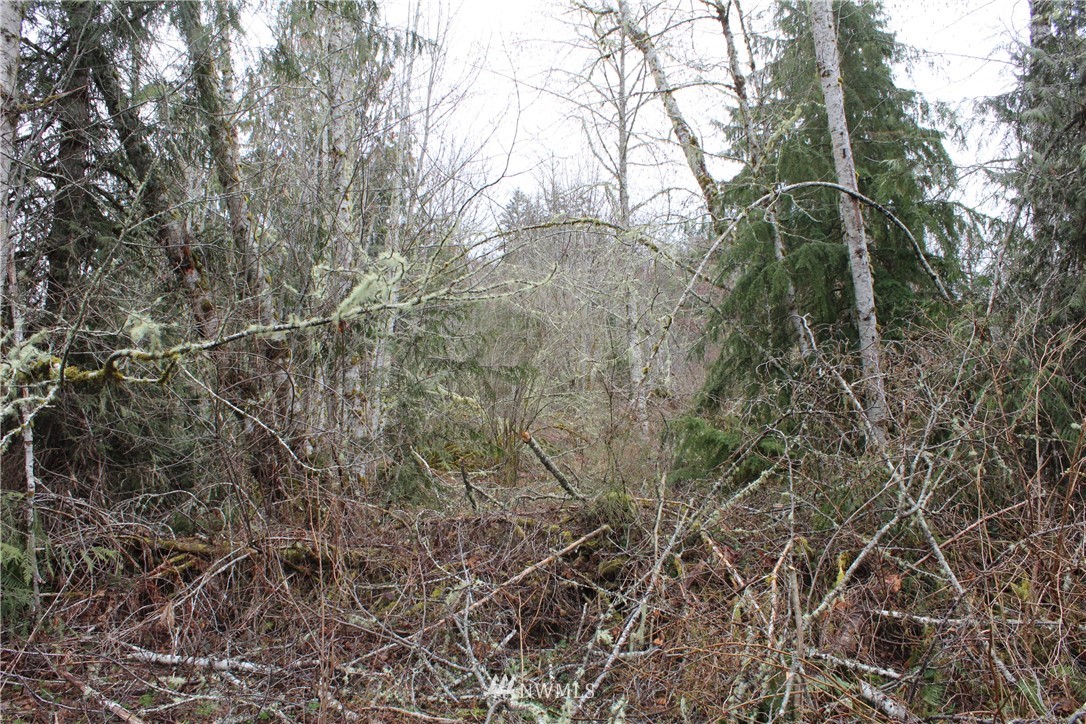 0 Eden Valley Road Port Angeles, WA 98363 - Photo 9 of 12 Gallery Image 9