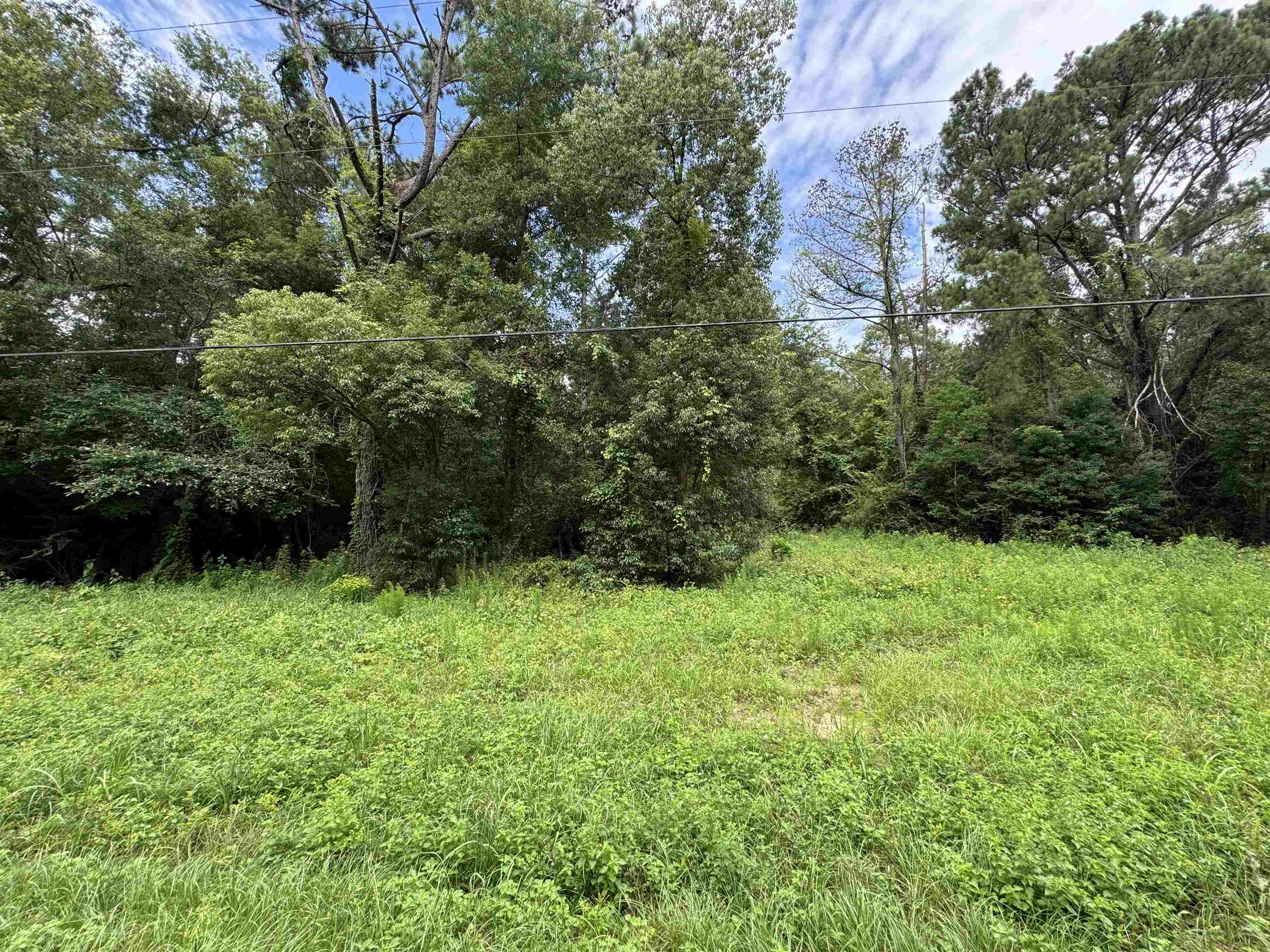 0 Sherwood Highland Road Fairhope, AL 36532 - Photo 4 of 5
