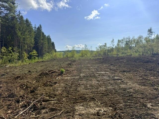 Lot 23 Holley Road Farmington, ME 04938 - Photo 1 of 6 IMG_5754