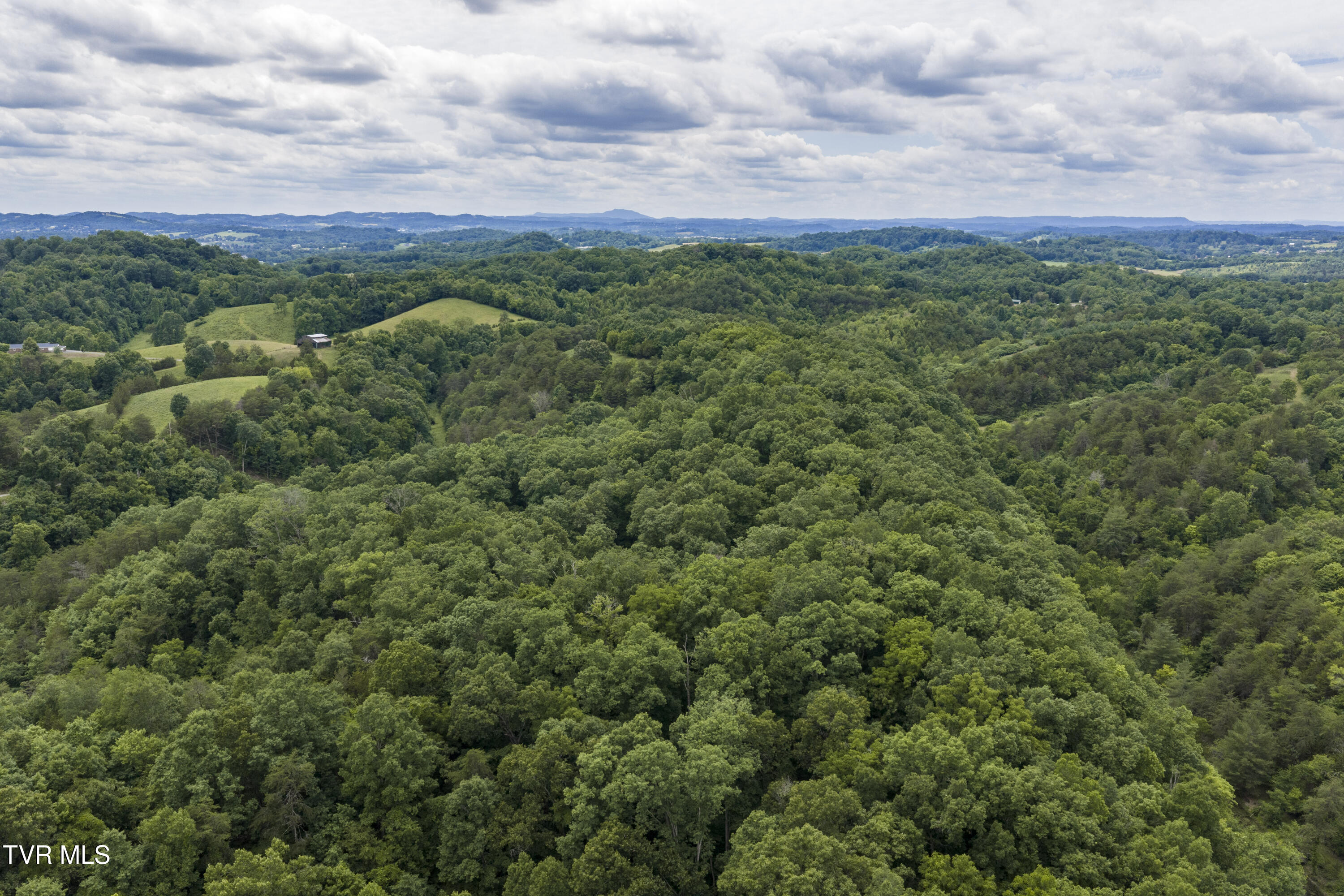 700 Piney Flats Road Piney Flats, TN 37686 - Photo 13 of 44 700-758PineyFlats-Aerials-46