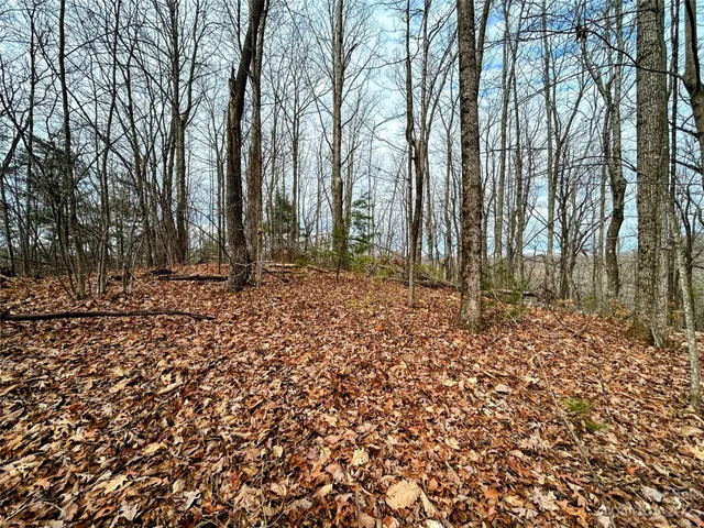$49,600 | Lot 12 Rhododendron Drive, Saluda, NC 28773