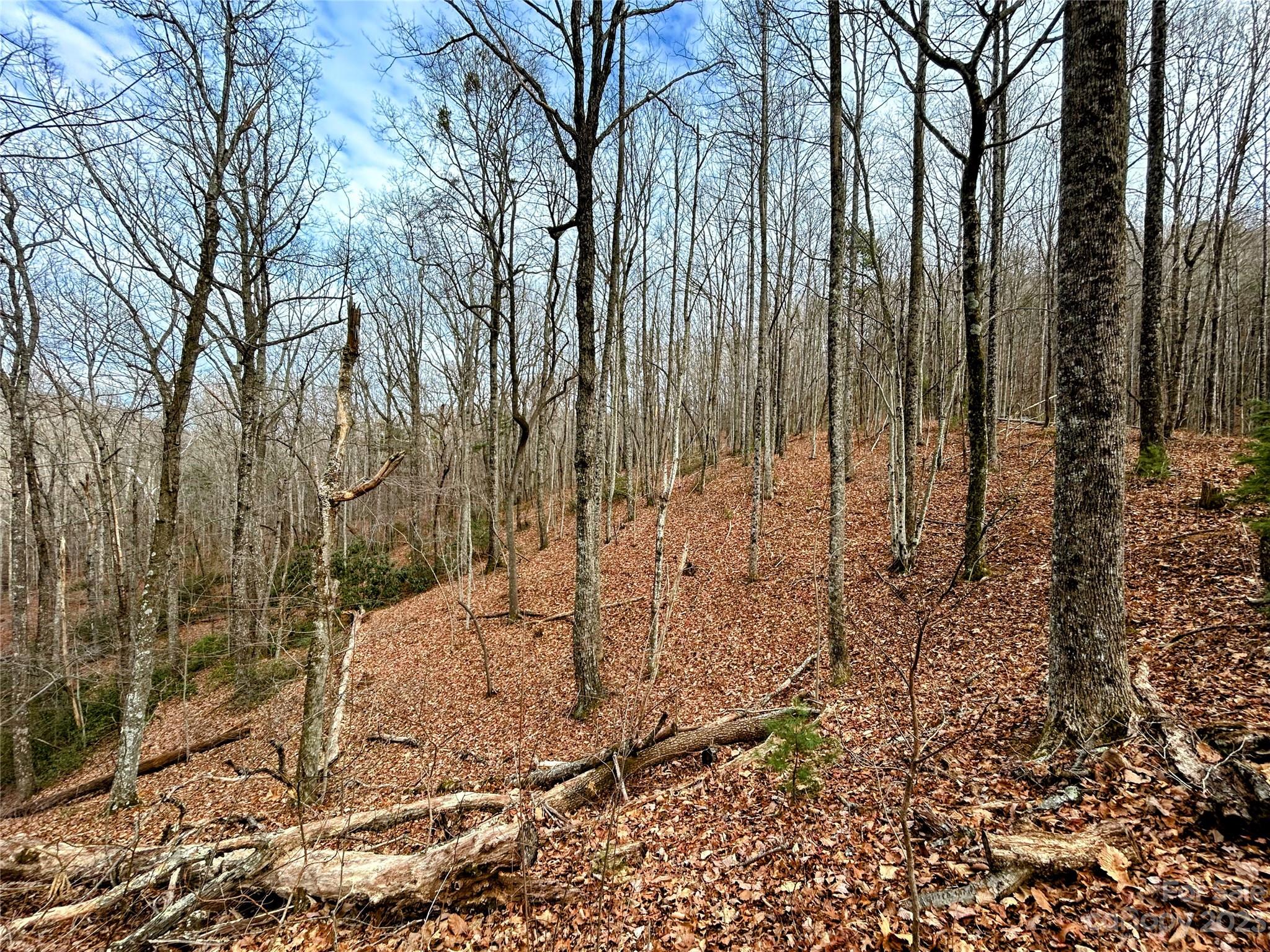 Lot 12 Rhododendron Drive Saluda, NC 28773 - Photo 11 of 17