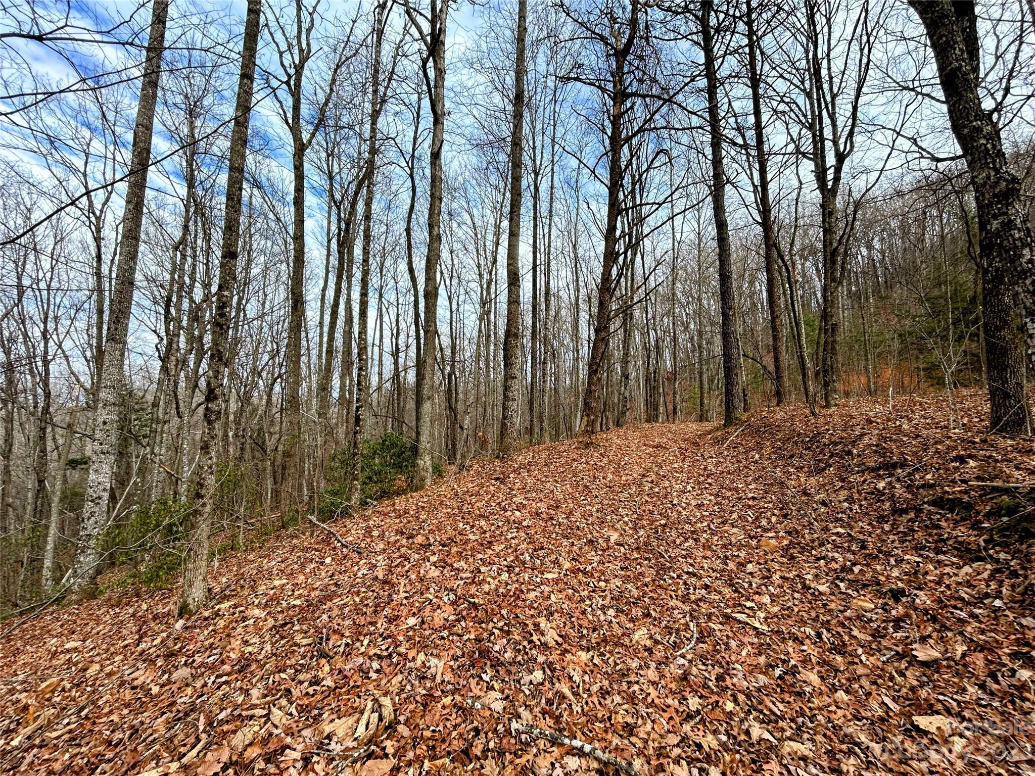 Lot 12 Rhododendron Drive Saluda, NC 28773 - Photo 12 of 17