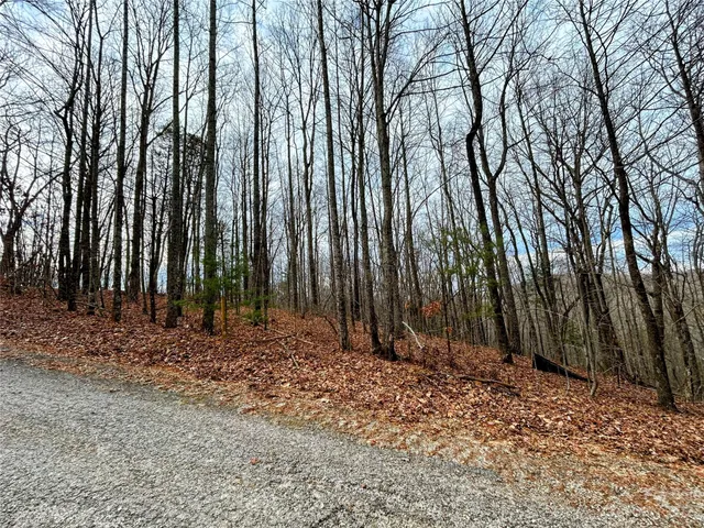 $49,600 | Lot 12 Rhododendron Drive, Saluda, NC 28773