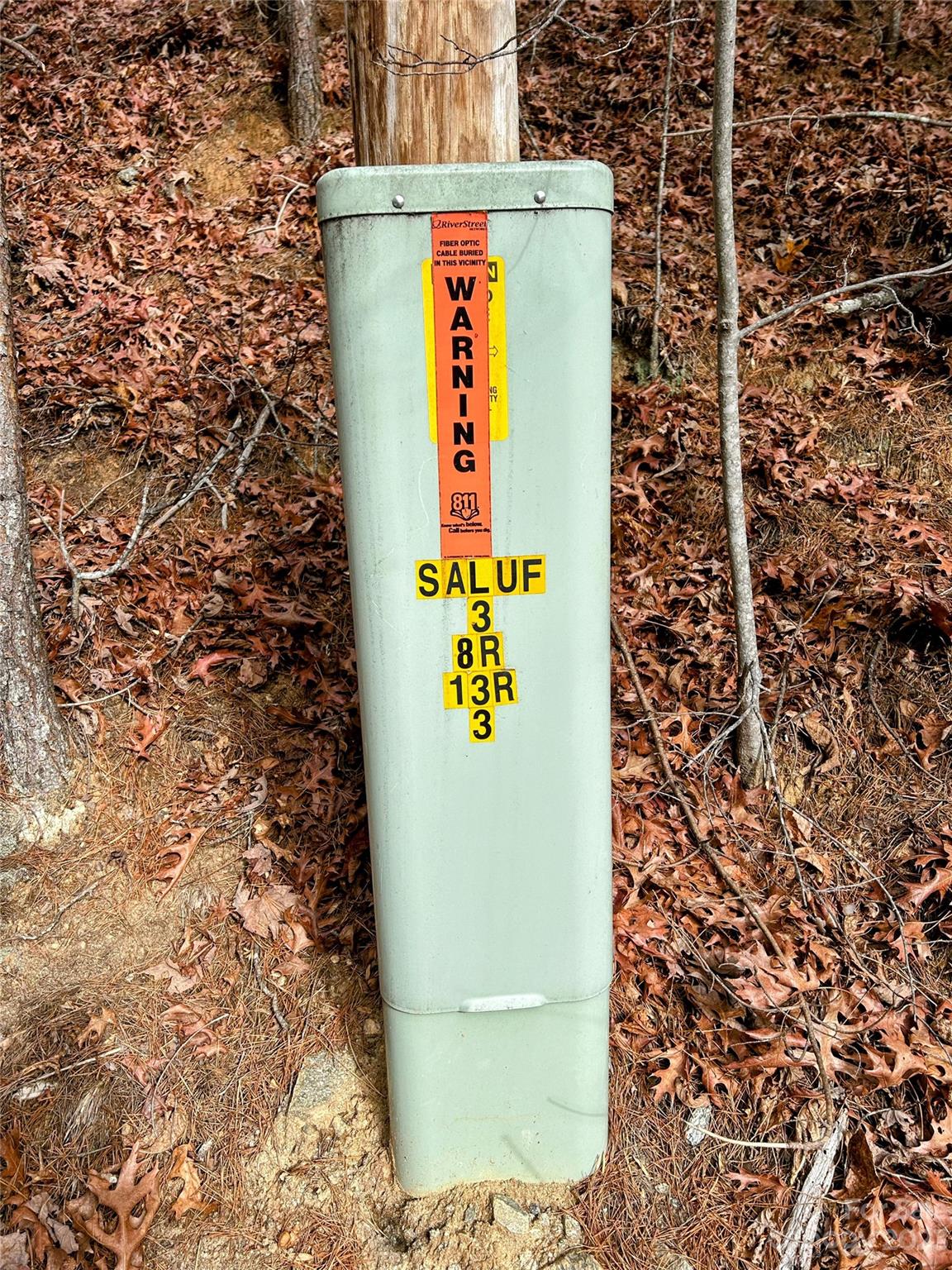 Lot 12 Rhododendron Drive Saluda, NC 28773 - Photo 15 of 17