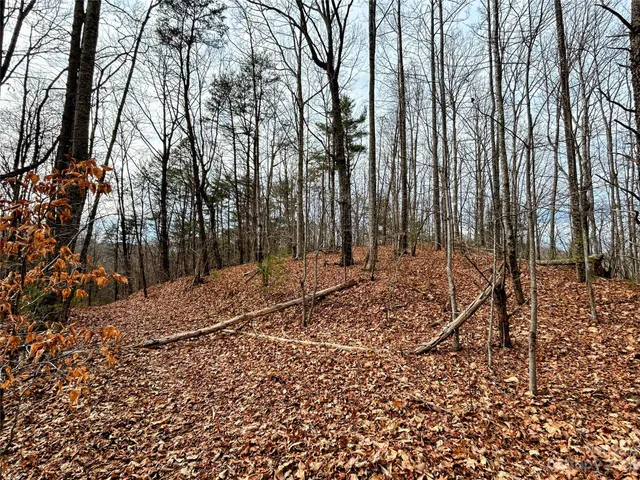 $49,600 | Lot 12 Rhododendron Drive, Saluda, NC 28773