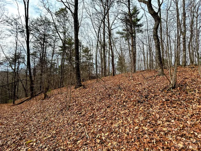 $49,600 | Lot 12 Rhododendron Drive, Saluda, NC 28773