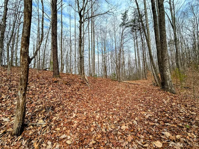 $49,600 | Lot 12 Rhododendron Drive, Saluda, NC 28773