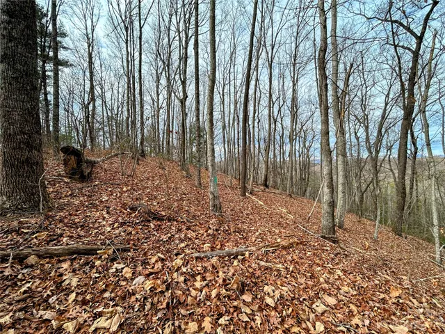 $49,600 | Lot 12 Rhododendron Drive, Saluda, NC 28773