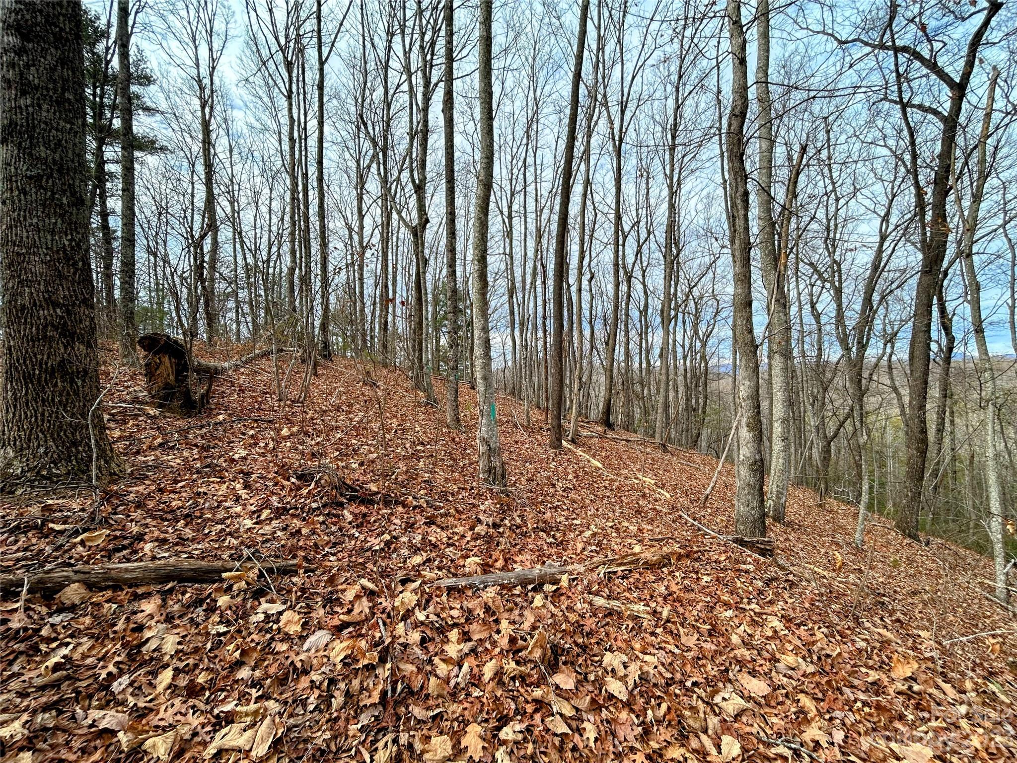 Lot 12 Rhododendron Drive Saluda, NC 28773 - Photo 7 of 17