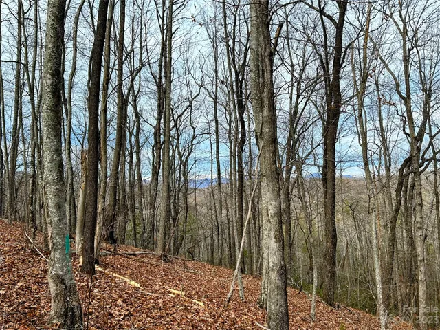 $49,600 | Lot 12 Rhododendron Drive, Saluda, NC 28773