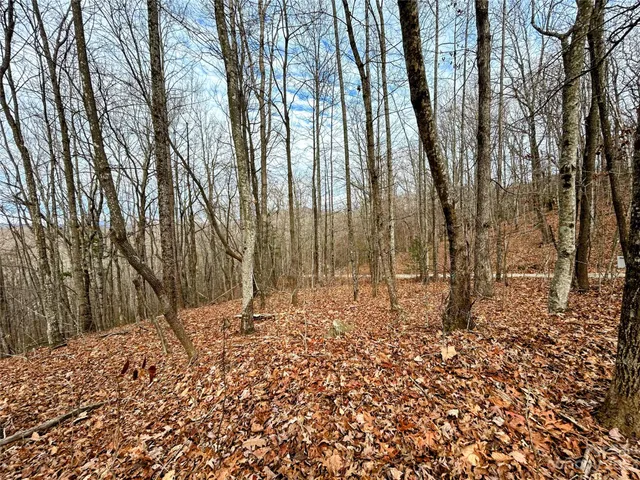 $49,600 | Lot 12 Rhododendron Drive, Saluda, NC 28773