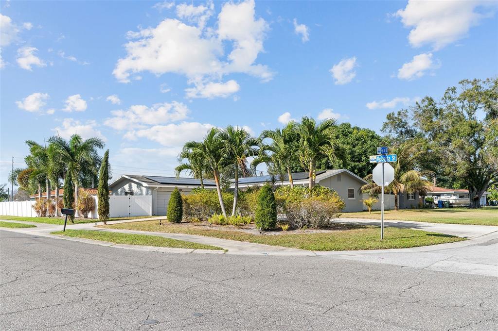 2453 Roberta Street Largo, FL 33771 - Photo 28 of 29 a view of a house with a big yard and palm trees