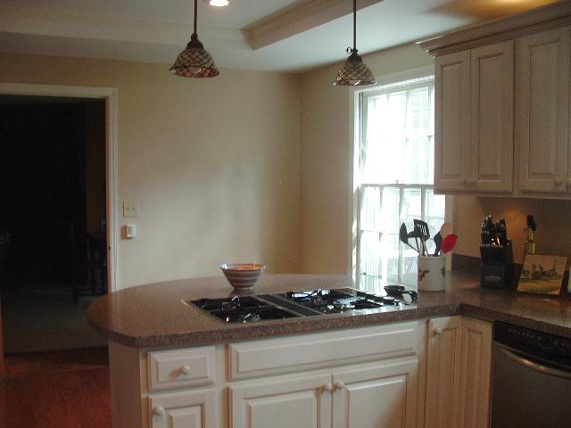 1141 Parkins Mill Road Greenville, SC 29607 - Photo 3 of 4