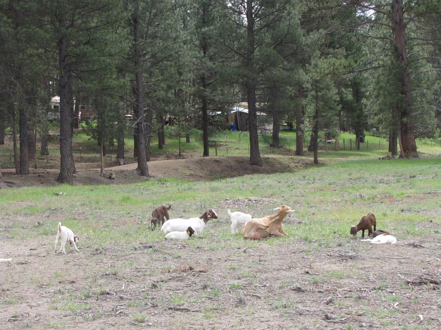 9930 Sprague River Road Chiloquin, OR 97624 - Photo 21 of 30 Additional Photo