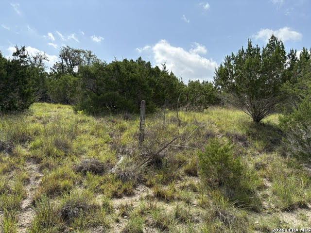 351 Ridge Point Spring Branch, TX 78070 - Photo 3 of 34