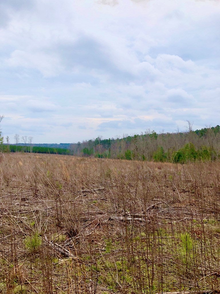 620 Renrut Road Brodnax, VA 23920 - Photo 6 of 13 Gallery Image 6